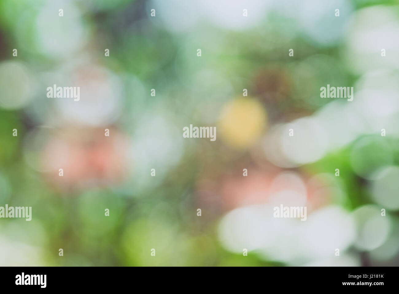 Green bokeh on nature defocus art abstract blur background Stock Photo