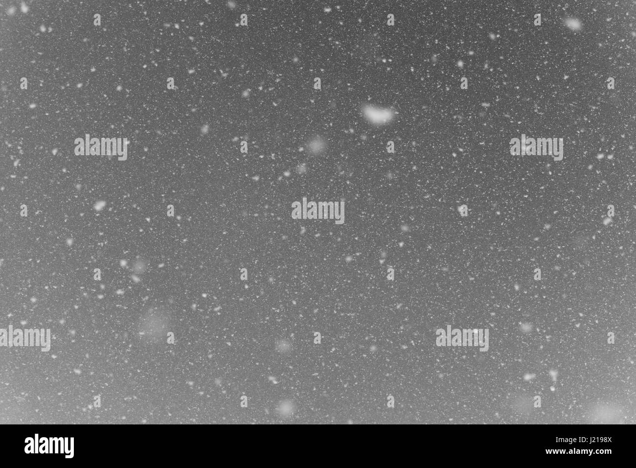 Black and white Falling snow flakes during the snowfall from the sky ...