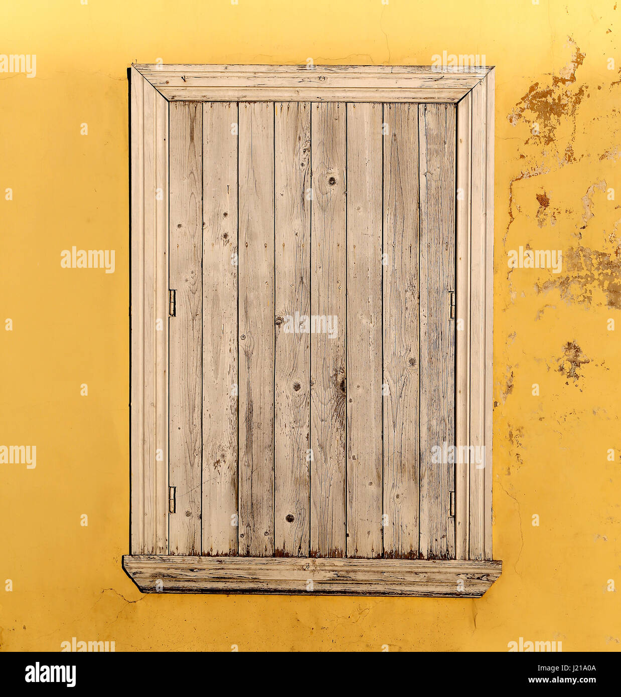 Photo bright color interesting macro wooden background Stock Photo