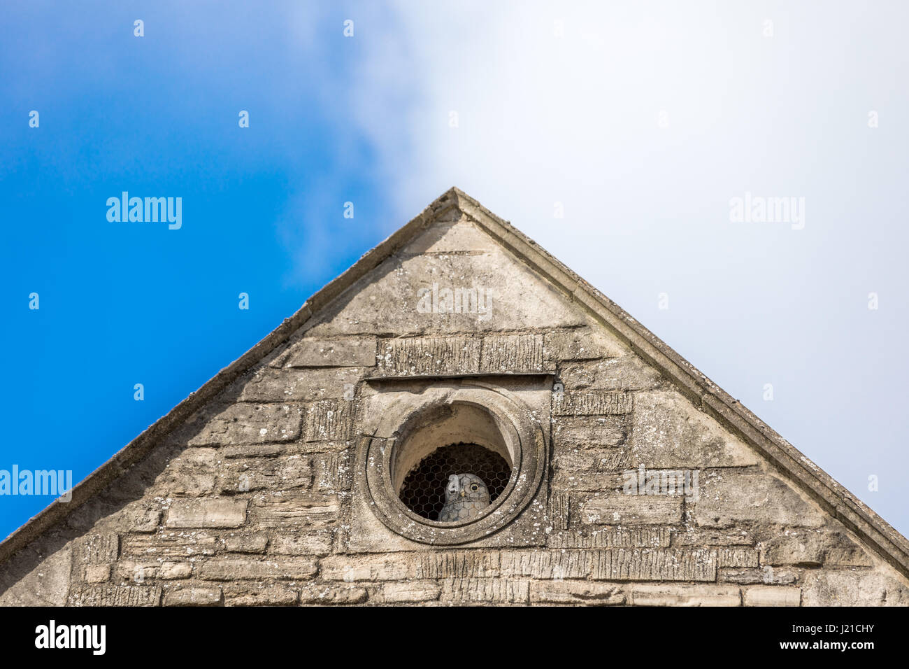 an owl looking out a round window in an old building in Bath England, UK Stock Photo