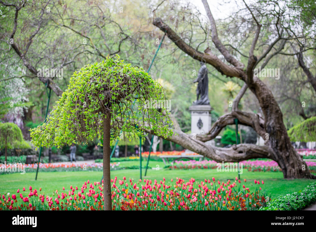 a pretty spring day in park in london england Stock Photo