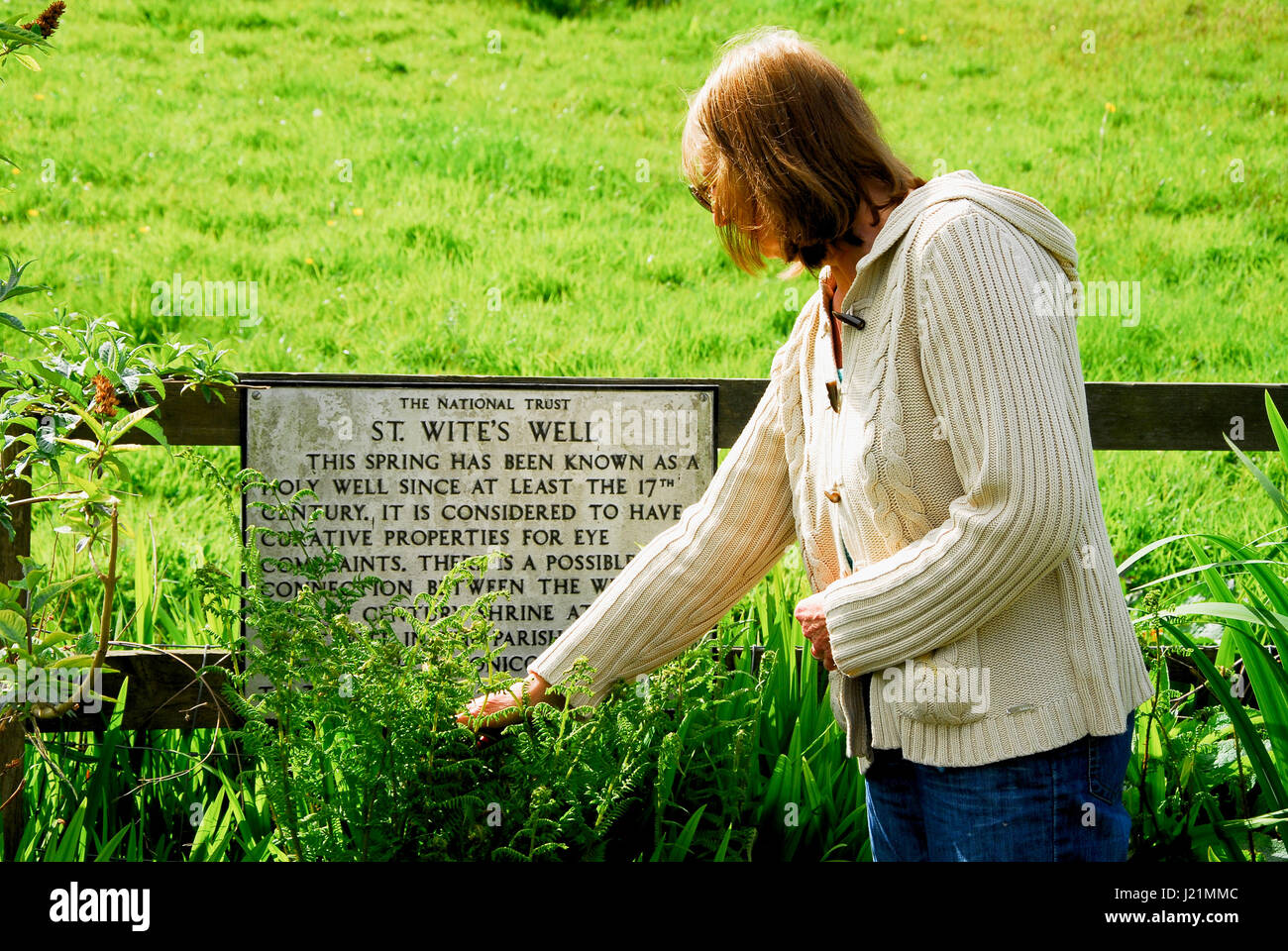 Dorset, UK. 23rd Apr, 2017. St. Wite's Well, near the village of Whitchurch Canonicorum, is bathed in afternoon sunshine. Credit: stuart fretwell/Alamy Live News Stock Photo