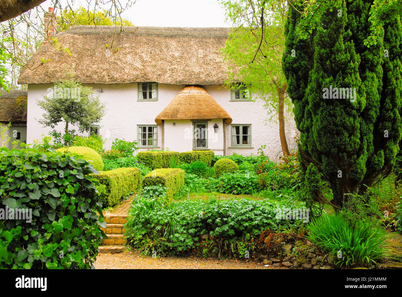 Dorset, UK. 23rd Apr, 2017. Thatched cottage bathed in afternoon sunshine in the village of Whitchurch Canonicorum Credit: stuart fretwell/Alamy Live News Stock Photo