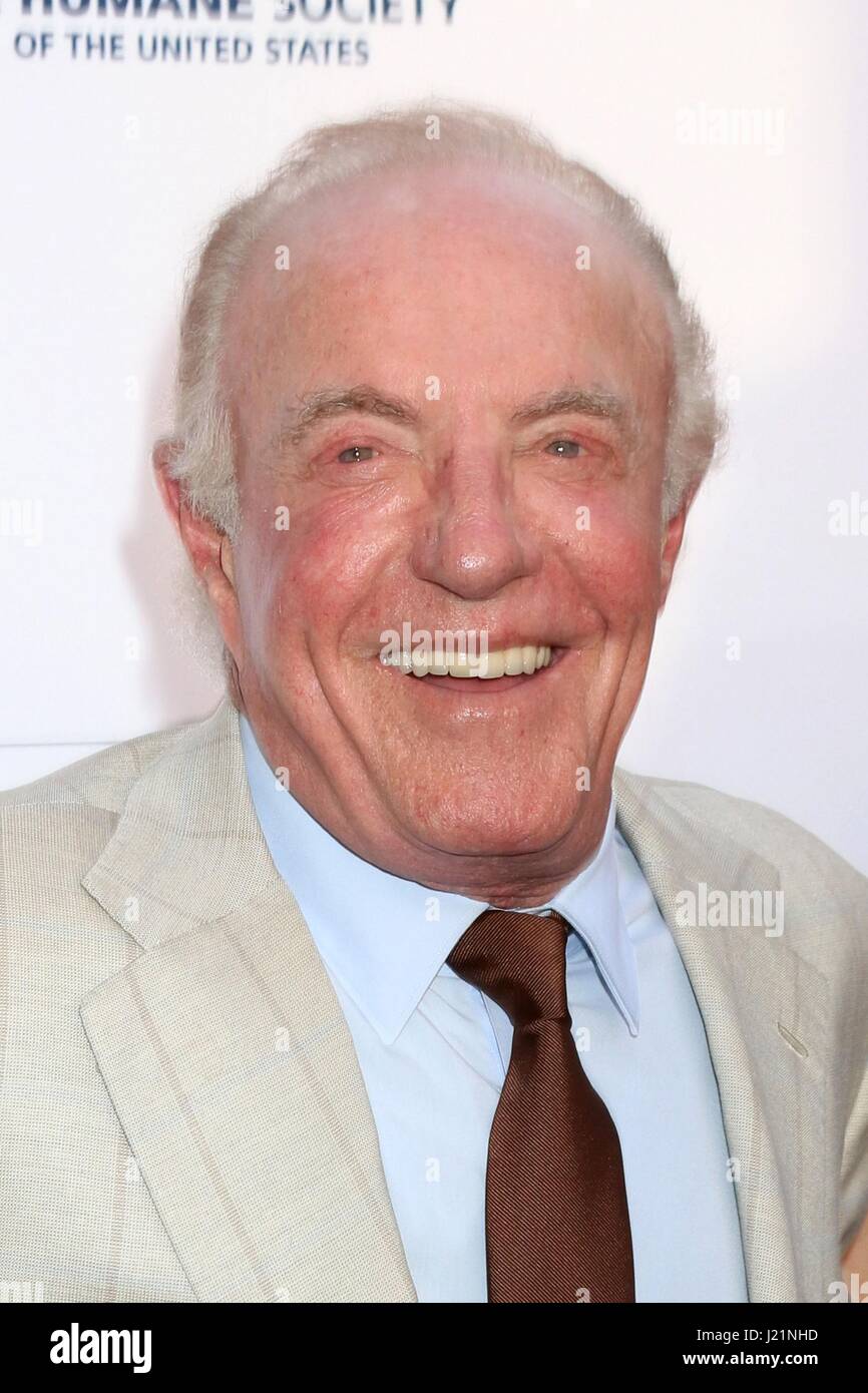 Los Angeles, CA, USA. 22nd Apr, 2017. James Caan at arrivals for The