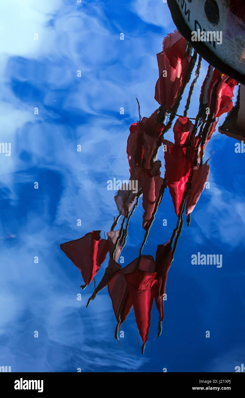 Boltenhagen, Germany. 24th Apr, 2017. Red flags can be seen reflected in the water of the Baltic Sea in Boltenhagen, Germany, 24 April 2017. The weather in Northern Germany remains changable and cold. Photo: Jens Büttner/dpa-Zentralbild/dpa/Alamy Live News Stock Photo