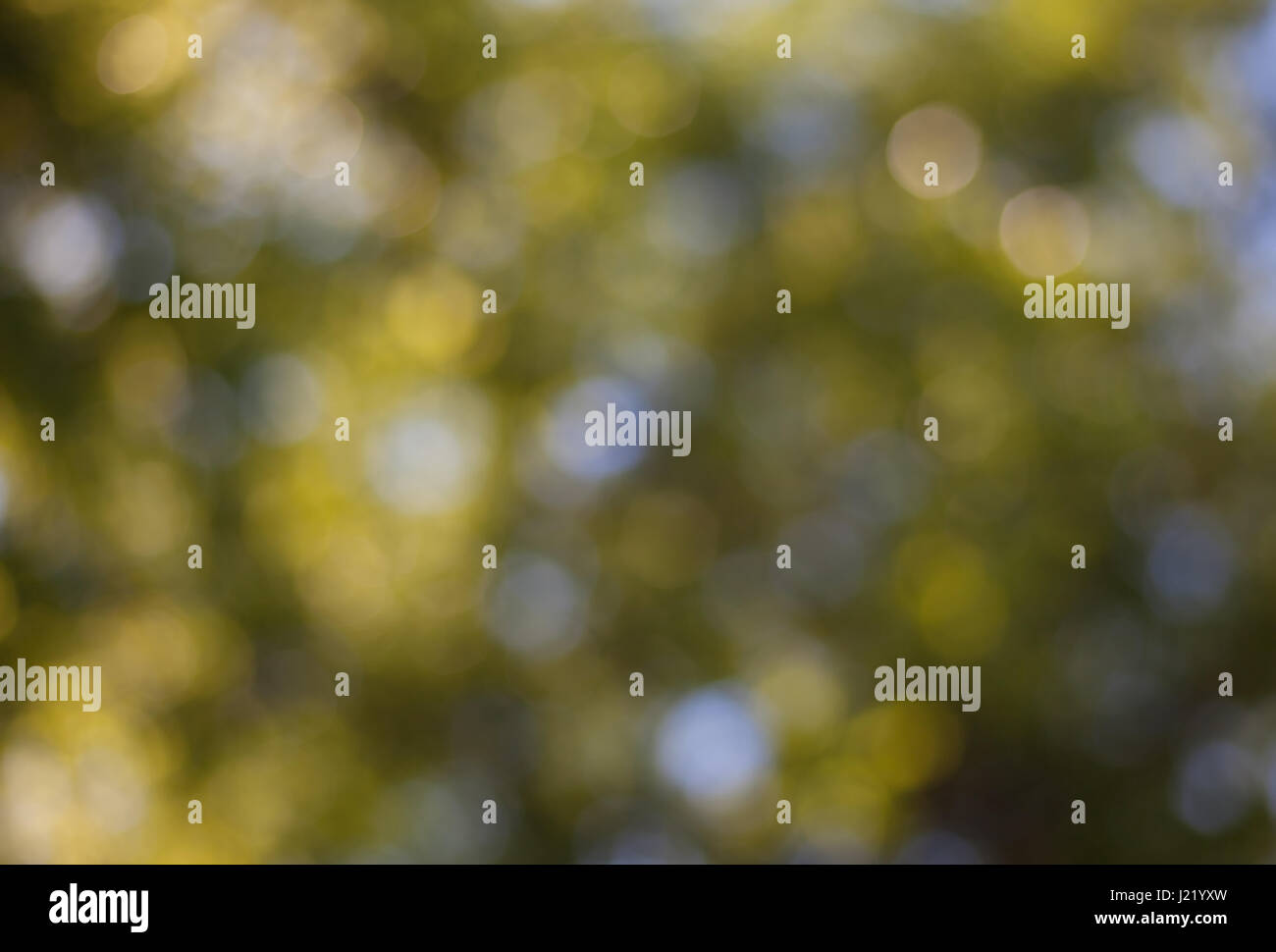 Abstract green nature hi-res stock photography and images - Alamy