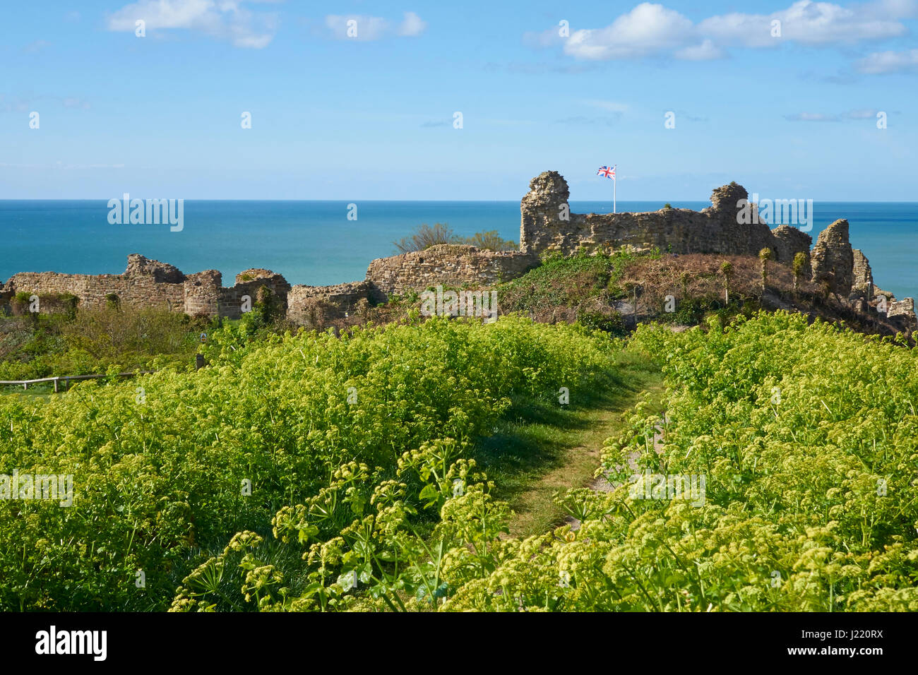 Hastings Castle, flying the Union Jack flag, Castle Hill, East Sussex, England, United Kingdom, UK, Great Britain, GB Stock Photo