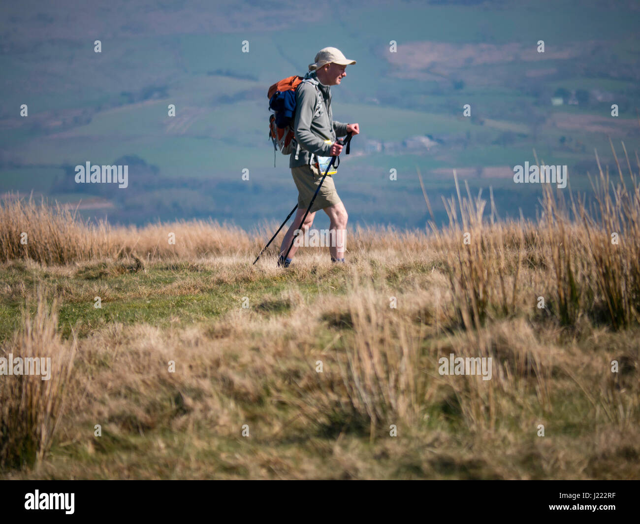 A hiker using walking poles walks a stretch of the Coast to coast path on the top of Dent Fell, Cumbria, England Stock Photo