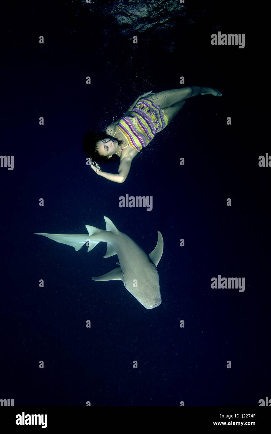 Woman swims at night with a shark - Tawny nurse sharks (Nebrius ferrugineus), Indian Ocean, Maldives Stock Photo