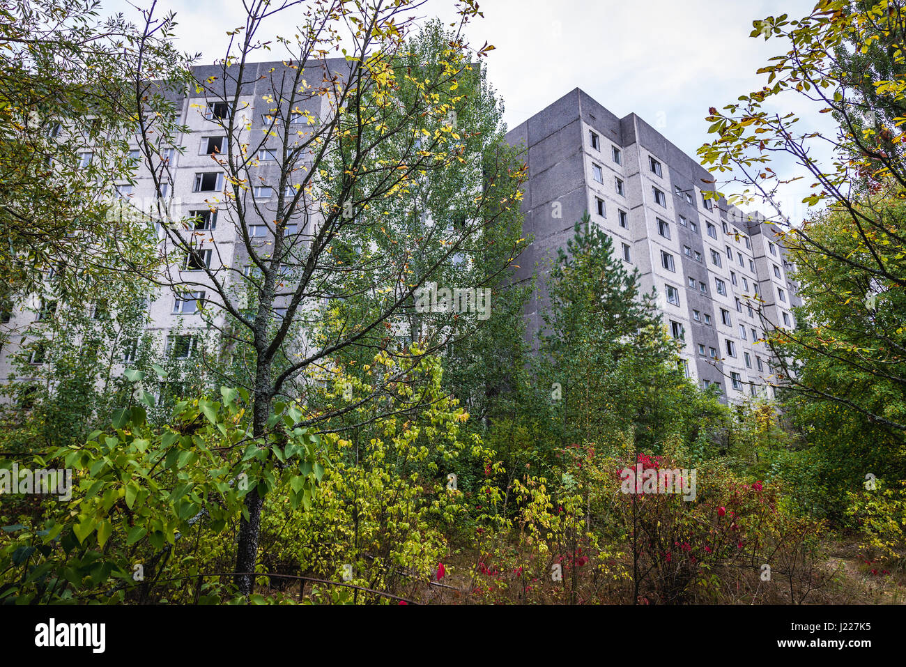 Overgrown Street In Pripyat Ghost City Of Chernobyl Nuclear Power Stock Photo Alamy