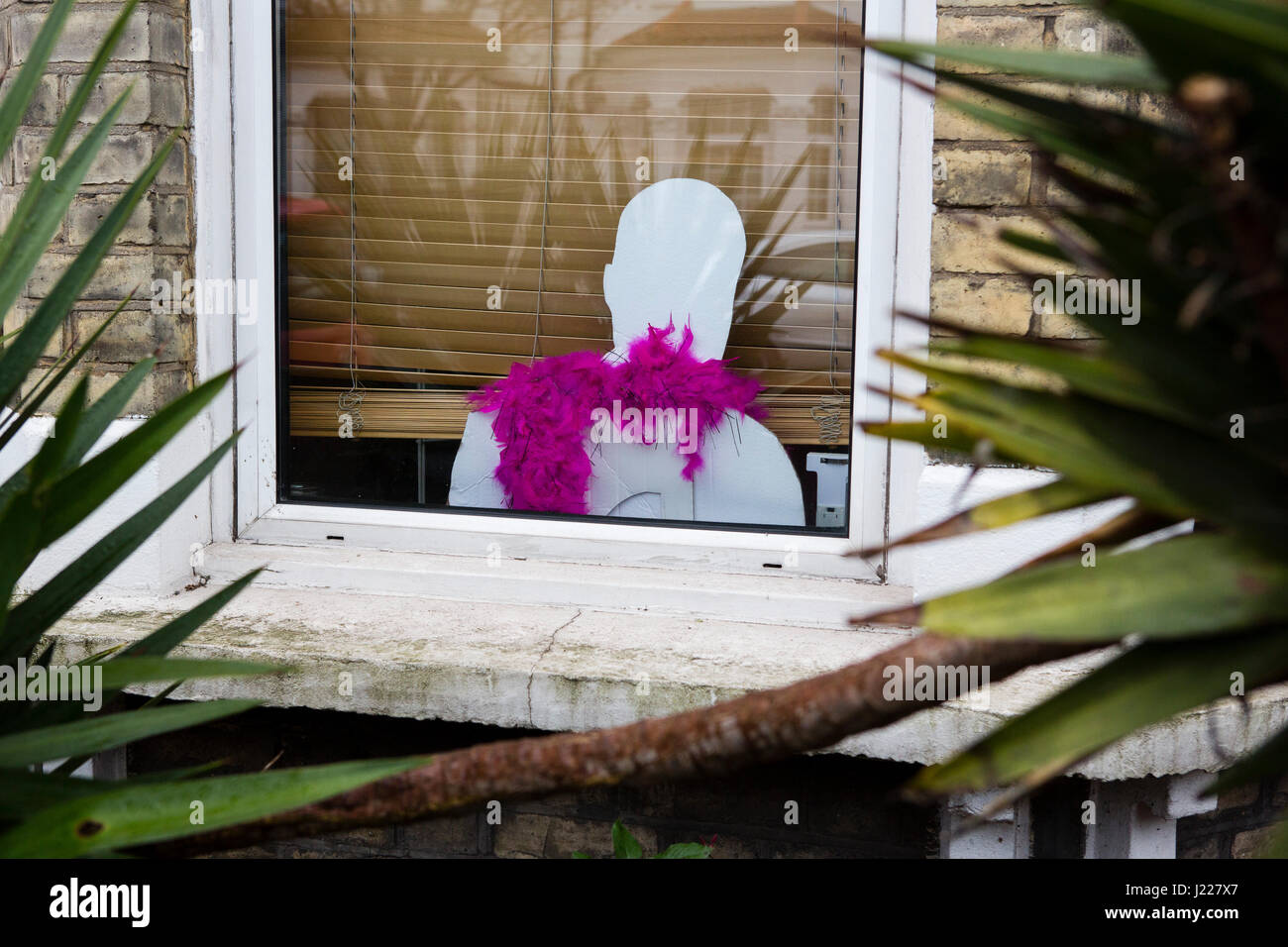 Cut out figure in a house window with pink feather boa scarf. Stock Photo
