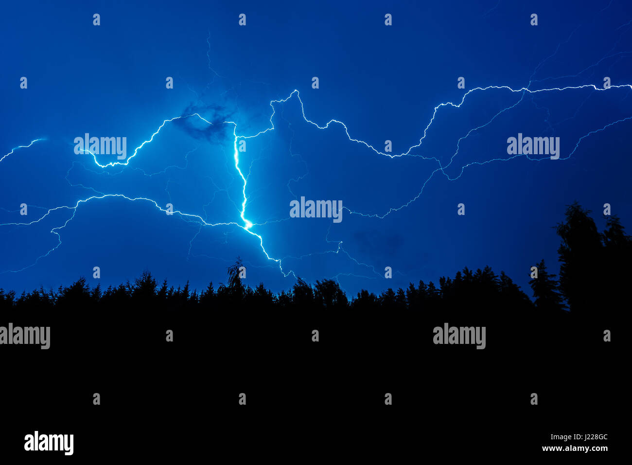Lightning strike forest hi-res stock photography and images - Alamy