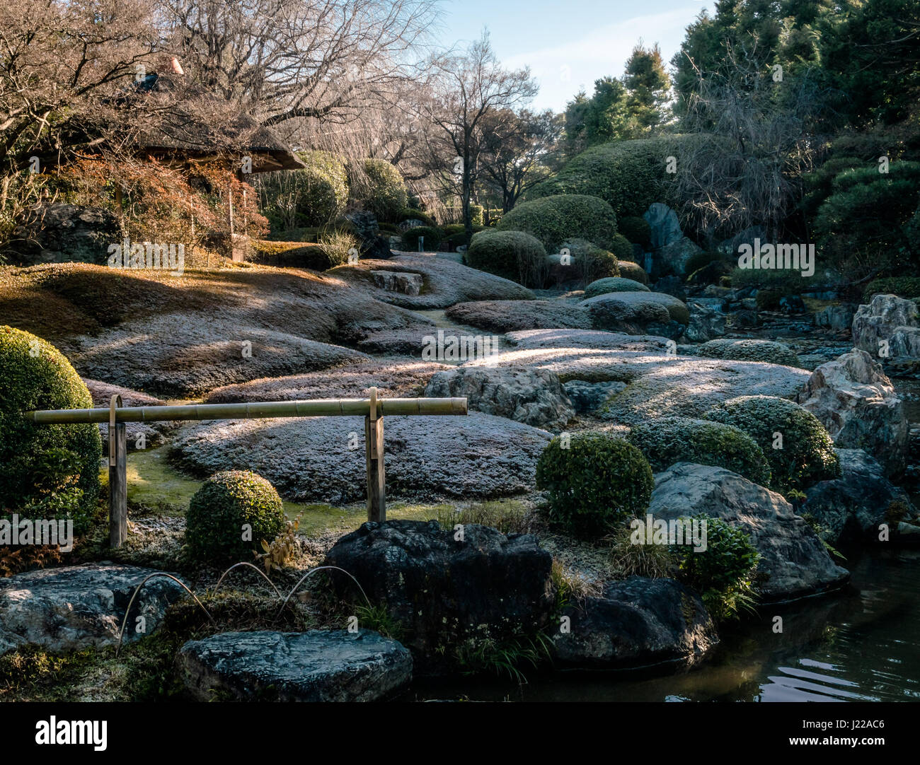 Sloped carpet of trimmed azaleas, covered by frost, in the zen garden of Taizoin, a subtemple of Myoshinjin in Kyoto. Stock Photo
