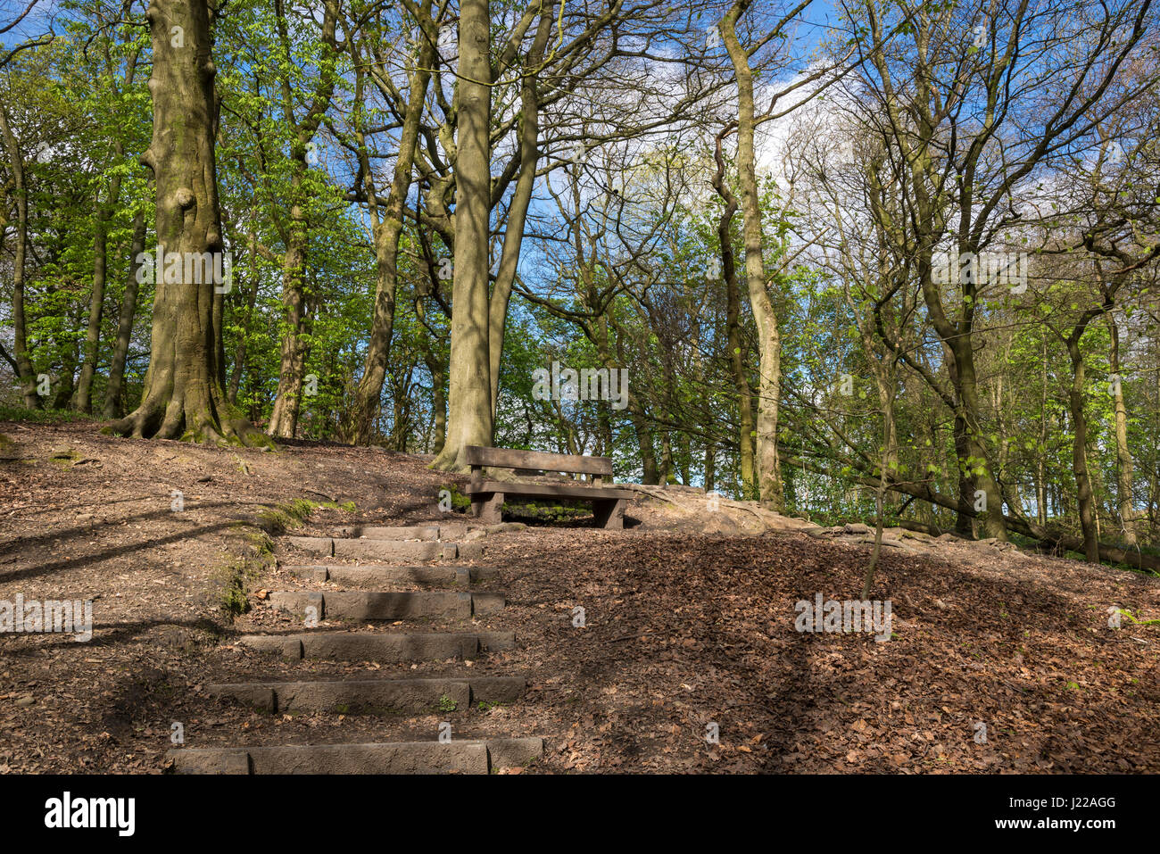 A spring day at Eastwood nature reserve, Stalybridge, Greater Manchester, England. Stock Photo