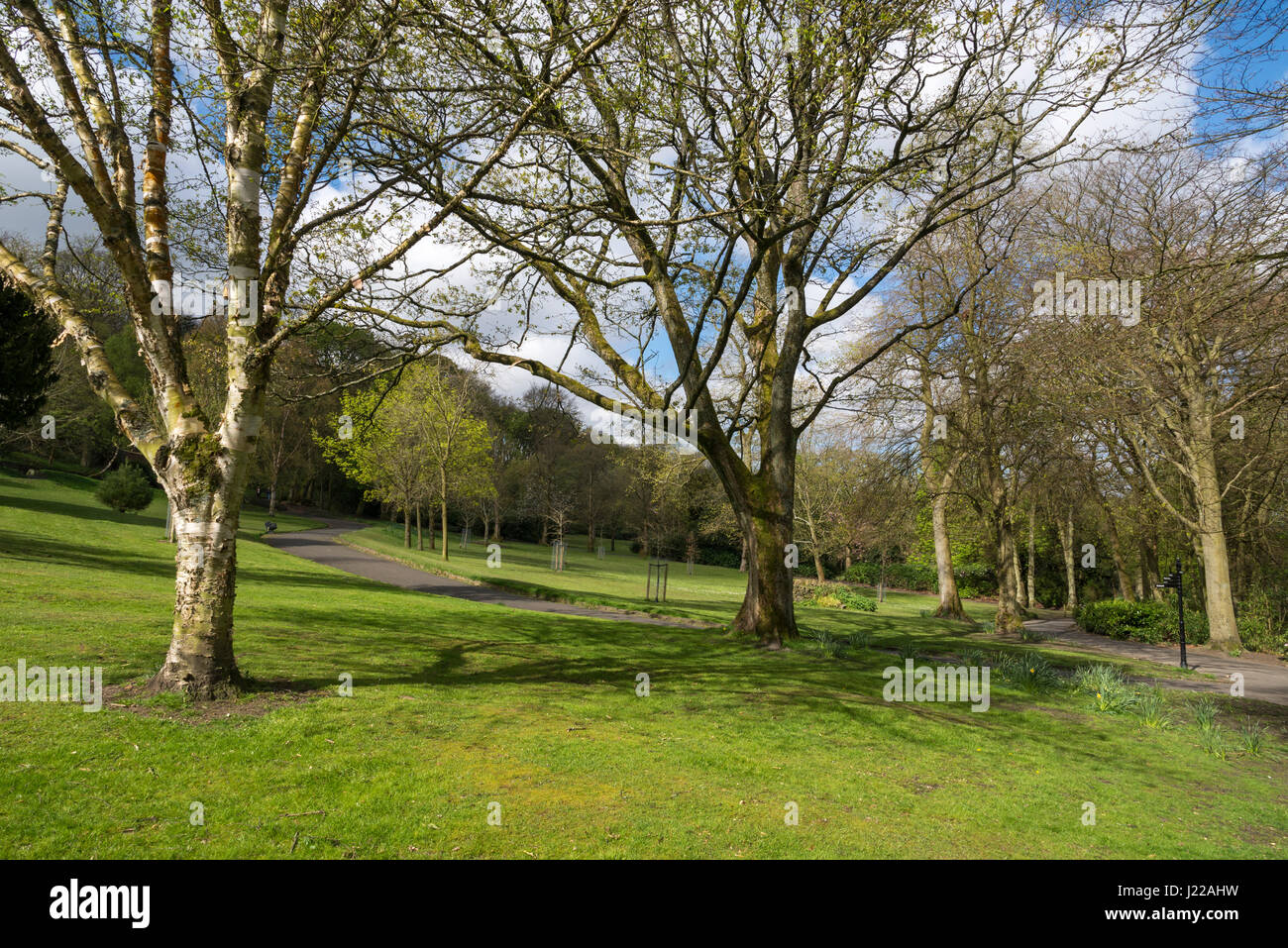 A spring day at Cheetham park, Stalybridge, Greater Manchester Stock Photo