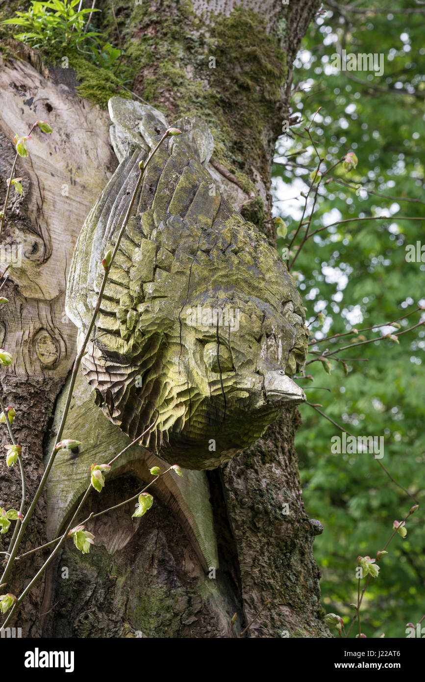 Carved wooden bird on a tree trunk at Cheetham park, Stalybridge, Greater Manchester, England. Stock Photo