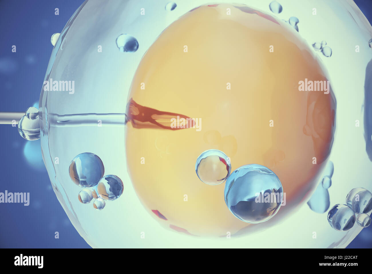 Human sperm fertilizing egg hi-res stock photography and images - Alamy