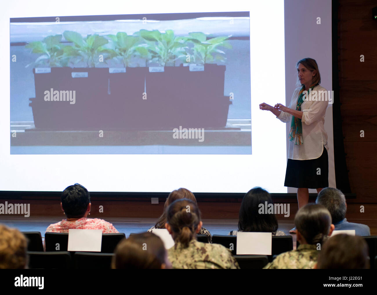 Lab girl hope jahren hires stock photography and images Alamy