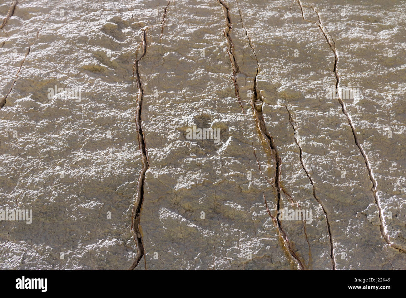 Dinosaur tracks on Cal Orcko Wall - Sucre, Bolivia Stock Photo