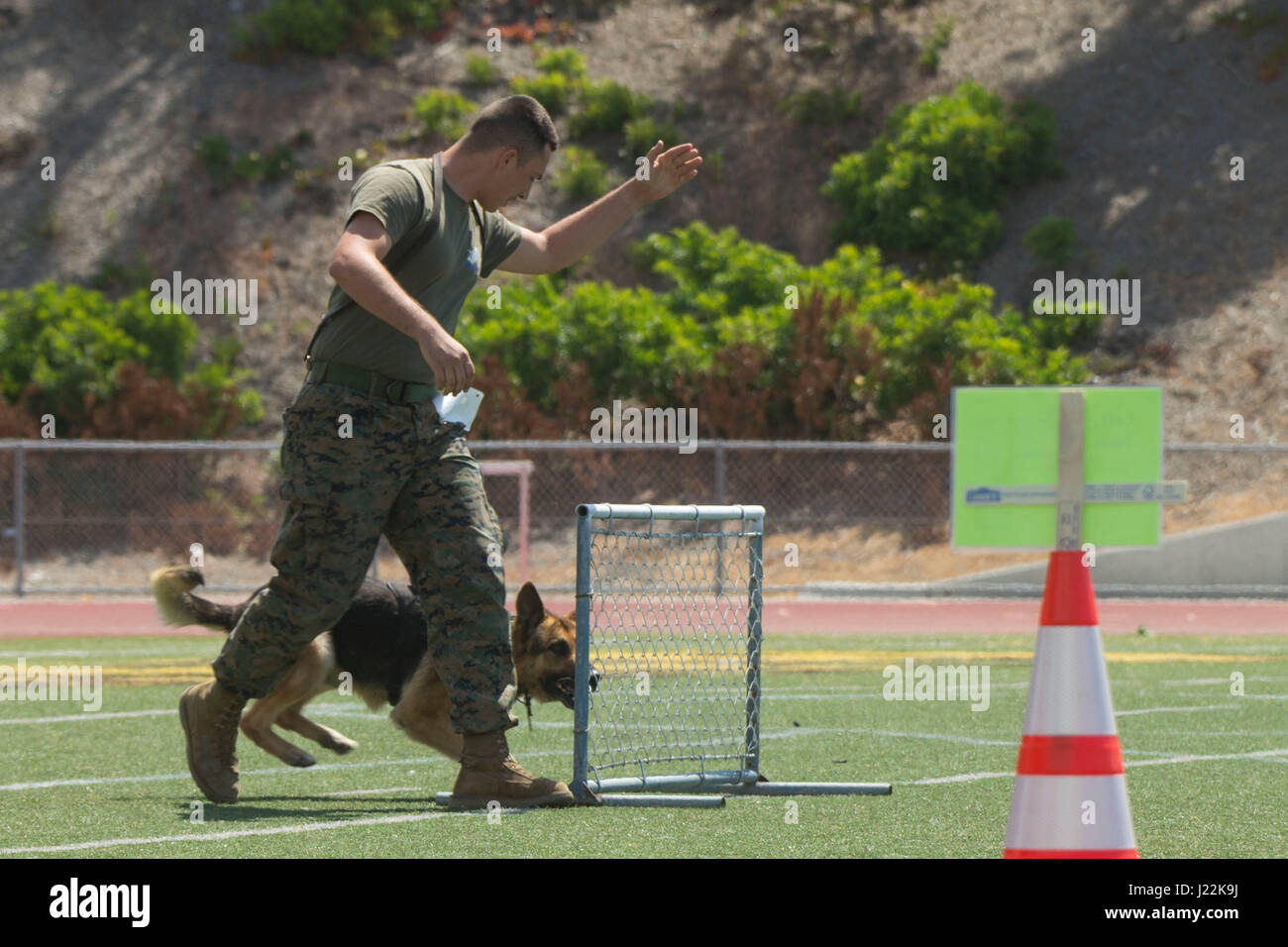 U.S. Marine Corps Lance Cpl. John Ball, Provost Marshal Office, runs his canine, Baz, through an obstacle for the 1st Annual City of Oceanside Public Safety Fair at El Camino High School football field in Oceanside, Calif., April 22, 2017. (U.S. Marine Corps photo by Lance Cpl. Brooke Woods) Stock Photo