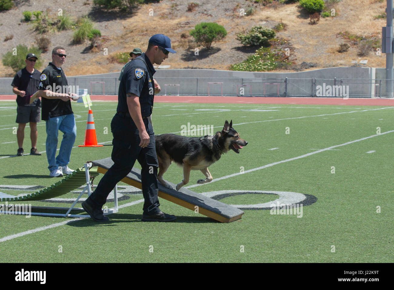 Police Officer John Otterness, Bakersfield Police Department Canine Unit, runs his canine, Rico, through an obstacle for the 1st Annual City of Oceanside Public Safety Fair at El Camino High School football field in Oceanside, Calif., April 22, 2017. (U.S. Marine Corps photo by Lance Cpl. Brooke Woods) Stock Photo