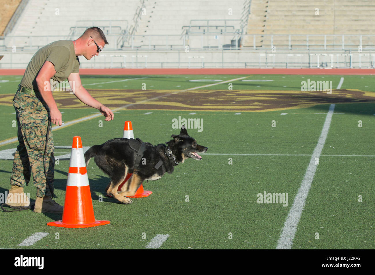 U.S. Marine Corps Cpl. Brandon Benningfield, Provost Marshal Office, runs his canine, Nero, through an obstacle for the 1st Annual City of Oceanside Public Safety Fair at El Camino High School football field in Oceanside, Calif., April 22, 2017. (U.S. Marine Corps photo by Lance Cpl. Brooke Woods) Stock Photo