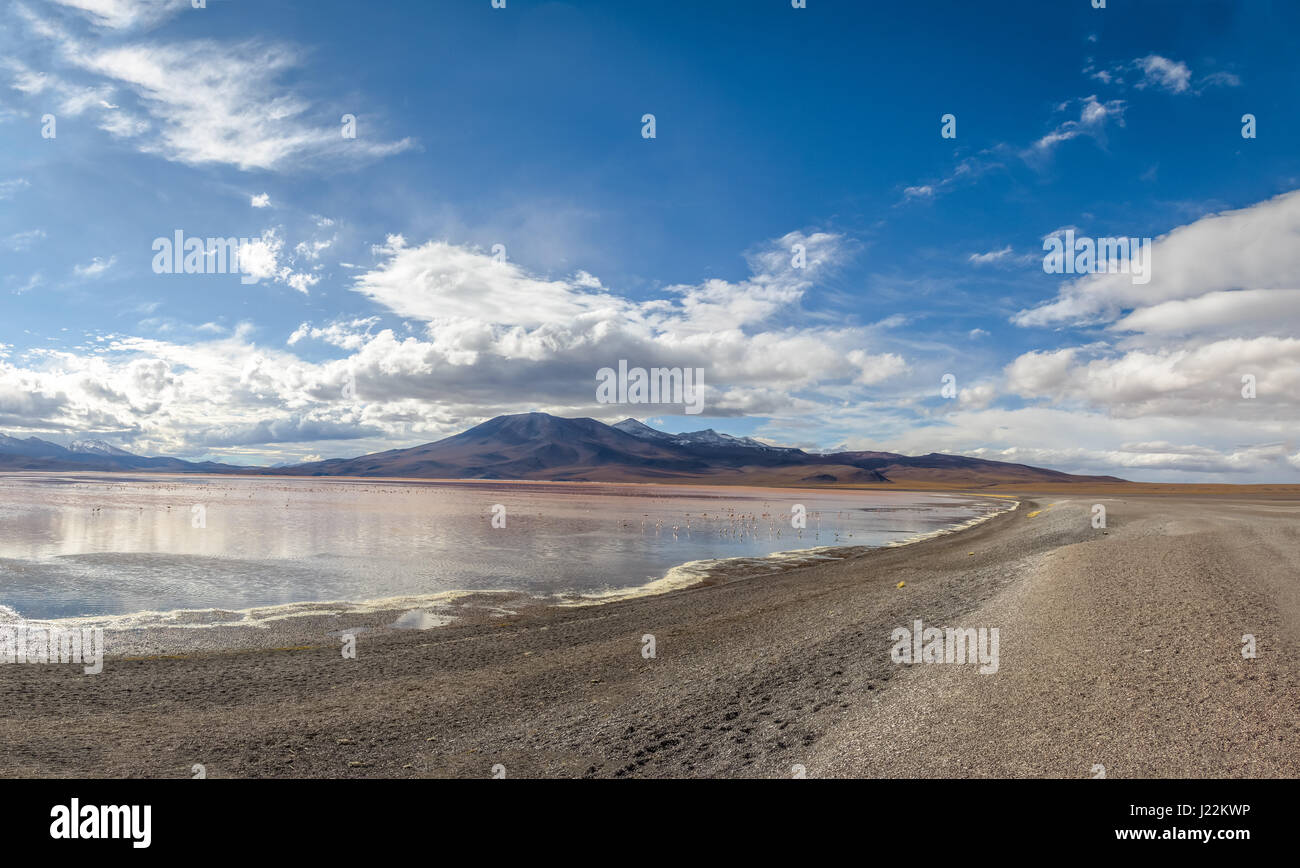 Laguna Colorada (Red Lagoon) in Bolivean altiplano - Potosi Department, Bolivia Stock Photo
