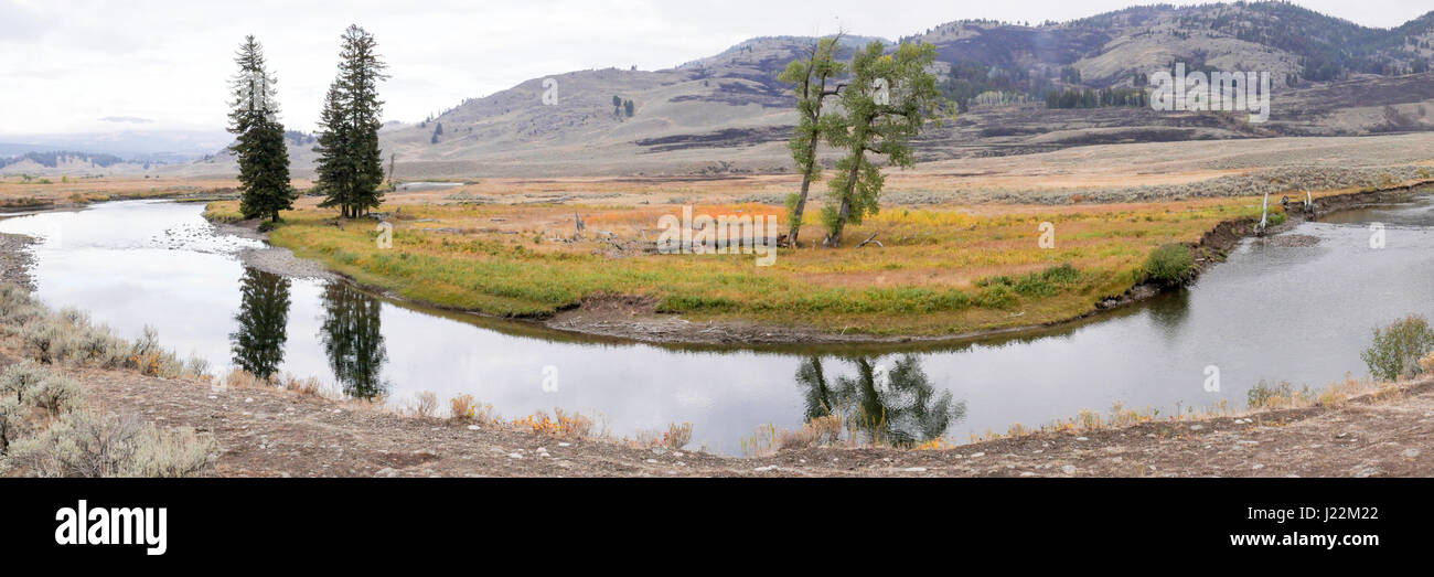 Panorama landscape of Slough Creek in the Lamar Valley, Yellowstone National Park, Wyoming, USA.  Slough Creek is a tributary of the Lamar River. Stock Photo