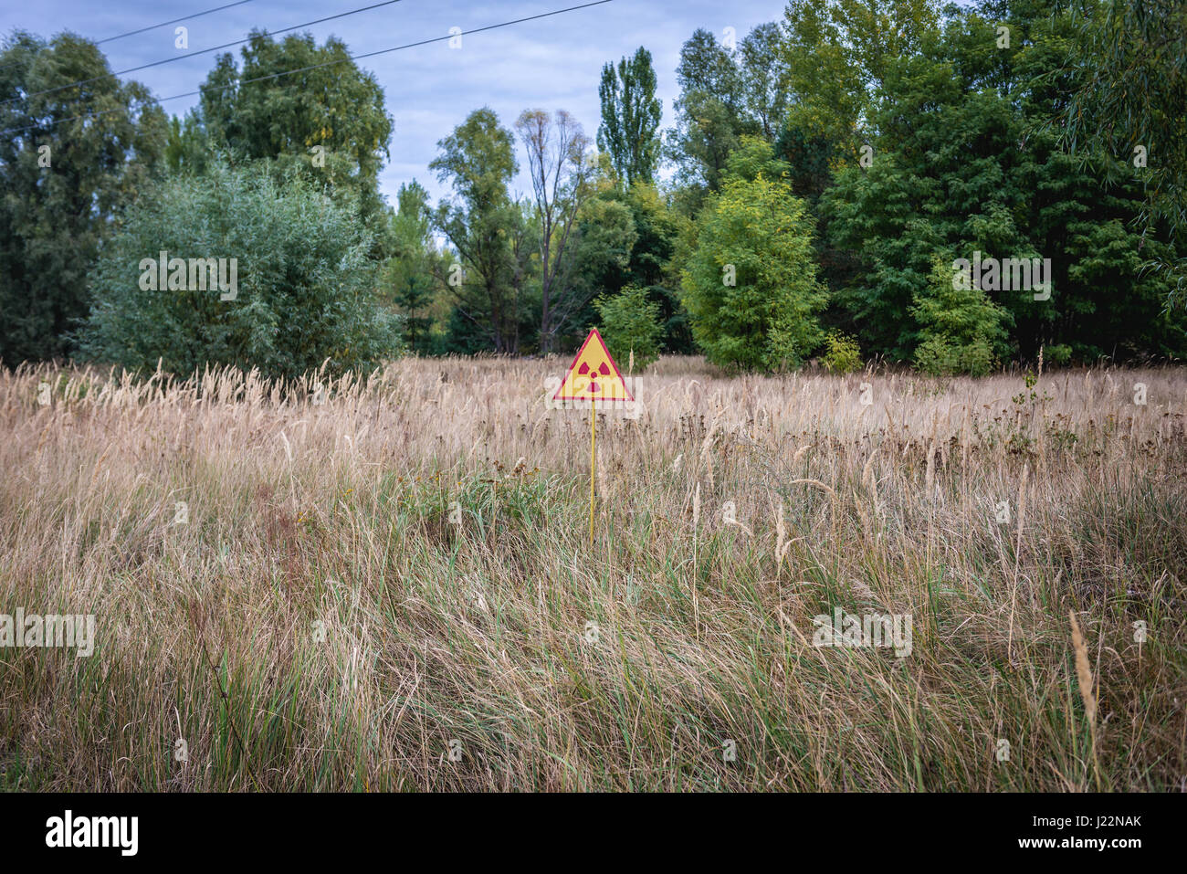 Ionising radiation warning sign in so called Red Forest area surrounding Chernobyl Nuclear Power Plant, Zone of Alienation, Ukraine Stock Photo