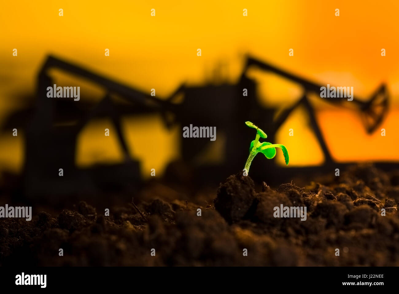 Young green plant in soil on background oil rocking machine Stock Photo