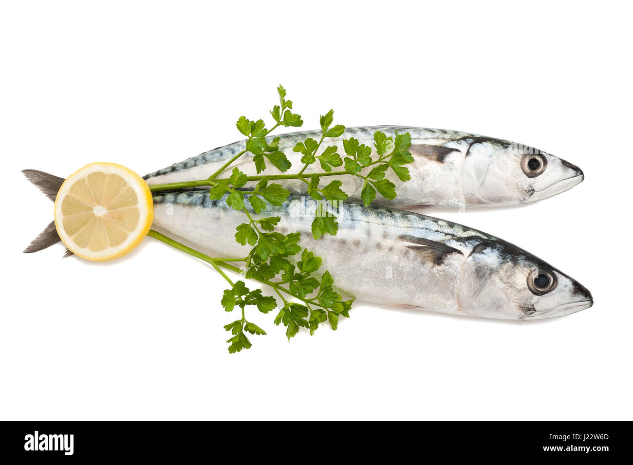 mackerels with parsley and lemon isolated on white Stock Photo