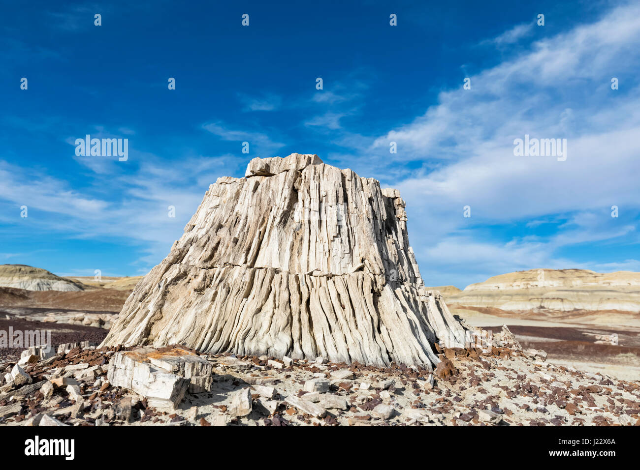 USA, New Mexico, Ah-shi-sle-pah Wash, rock formation, stone tree stump Stock Photo