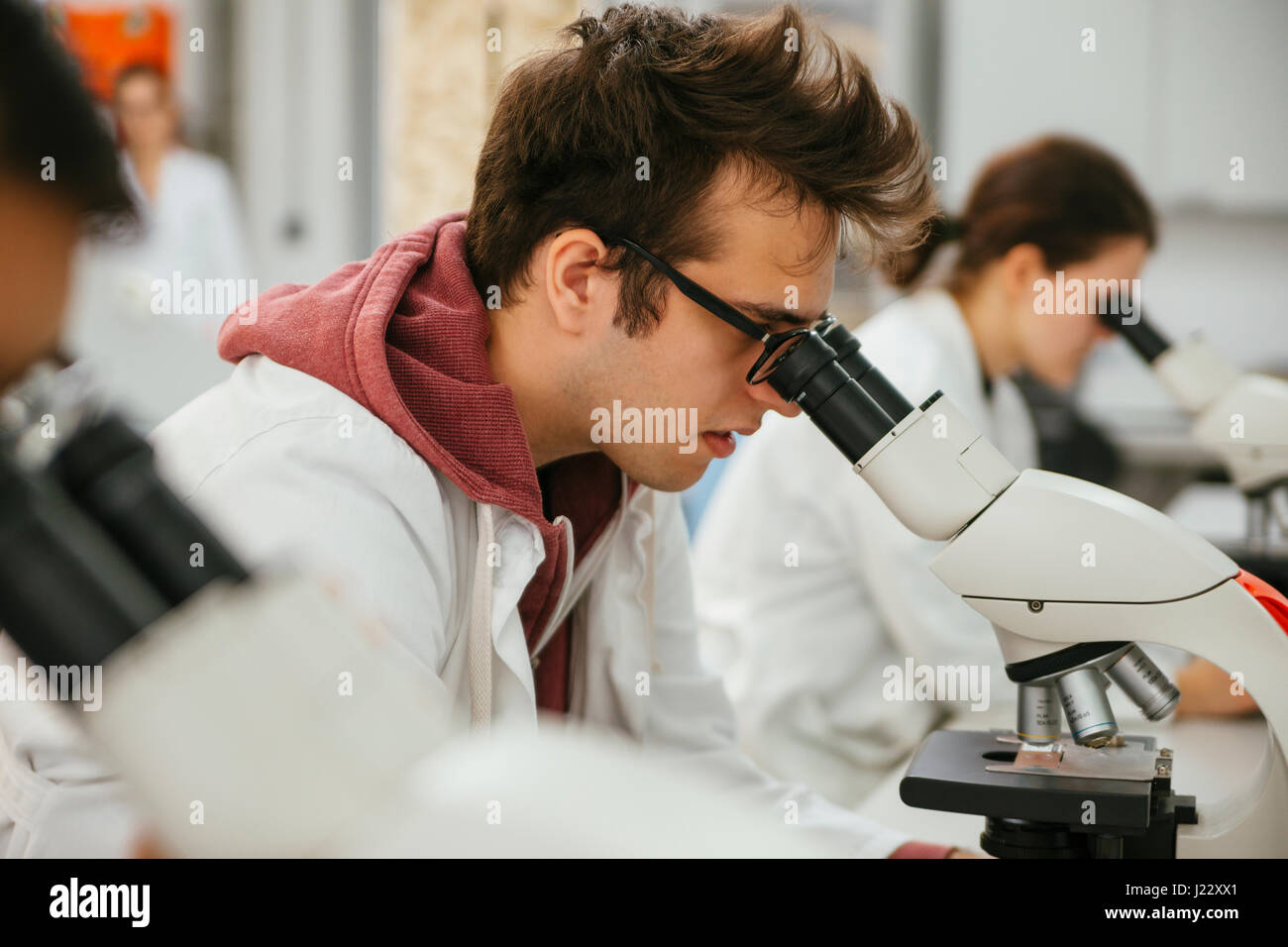 Laboratory technicians using microscopes in lab Stock Photo Alamy