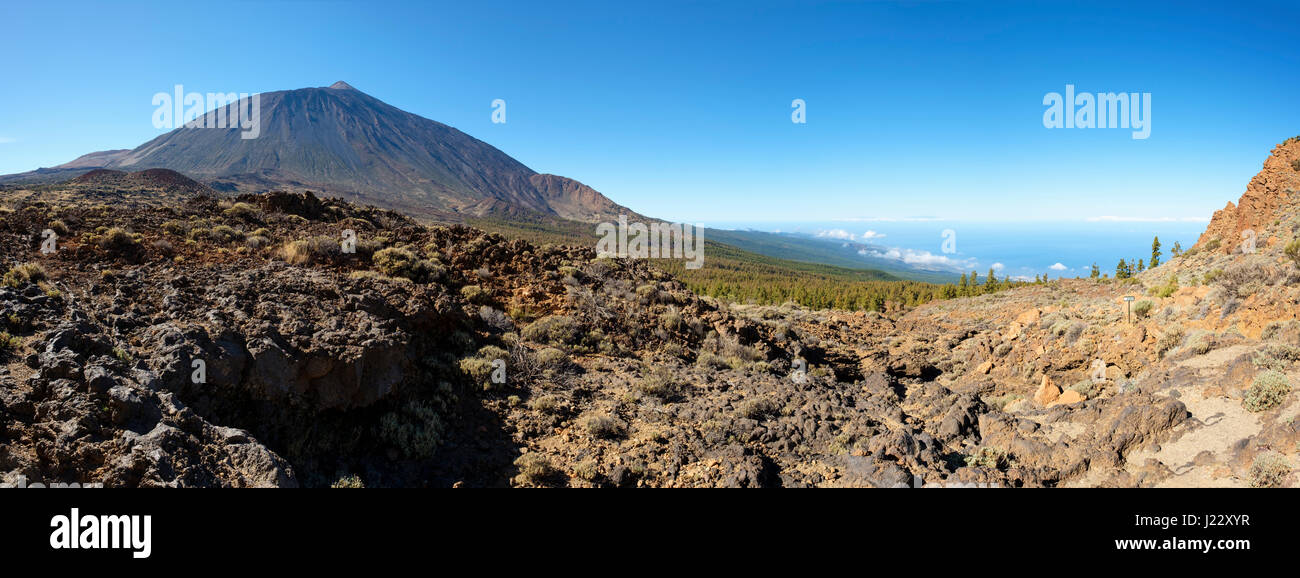 Pico del Teide und Nordküste, Teide-Nationalpark, Parque Nacional de las Cañadas del Teide, Teneriffa, Kanarische Inseln, Spanien Stock Photo