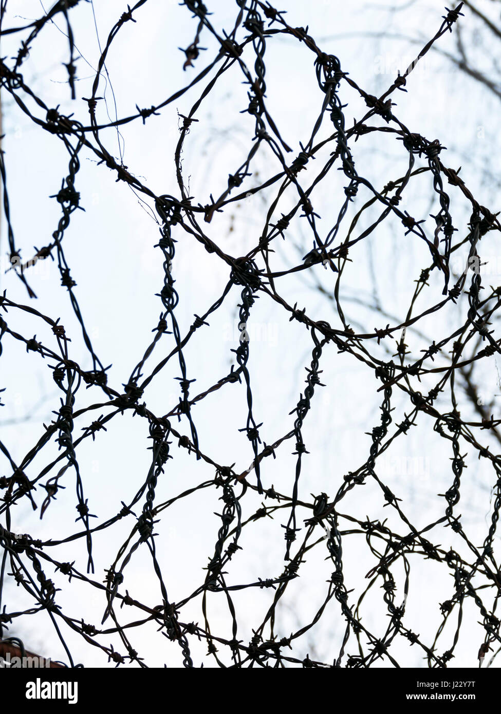 Barbed wire, close up Stock Photo