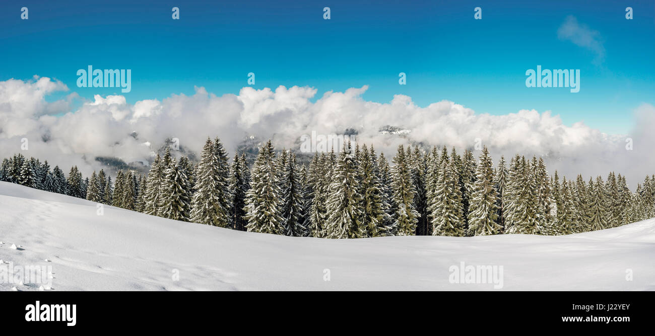 Panorama Hoehenweg, Kleinwalsertal, Allgaeäuer Alpen, Vorarlberg, Oesterreich, Europa Stock Photo