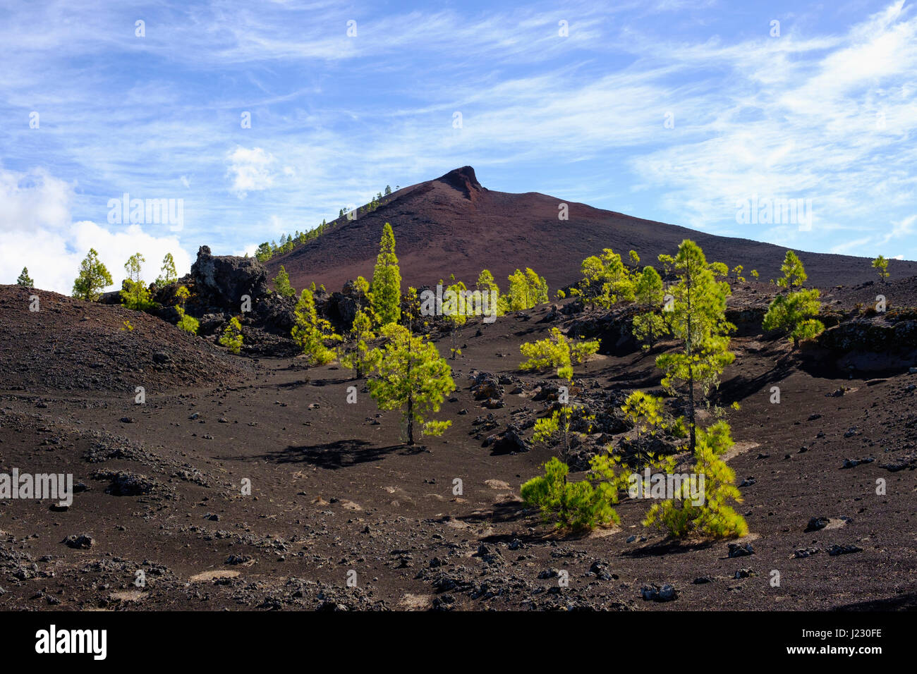 Montana Negra oder Volcan Garachico, bei El Tanque, Teneriffa, Kanarische Inseln, Spanien Stock Photo