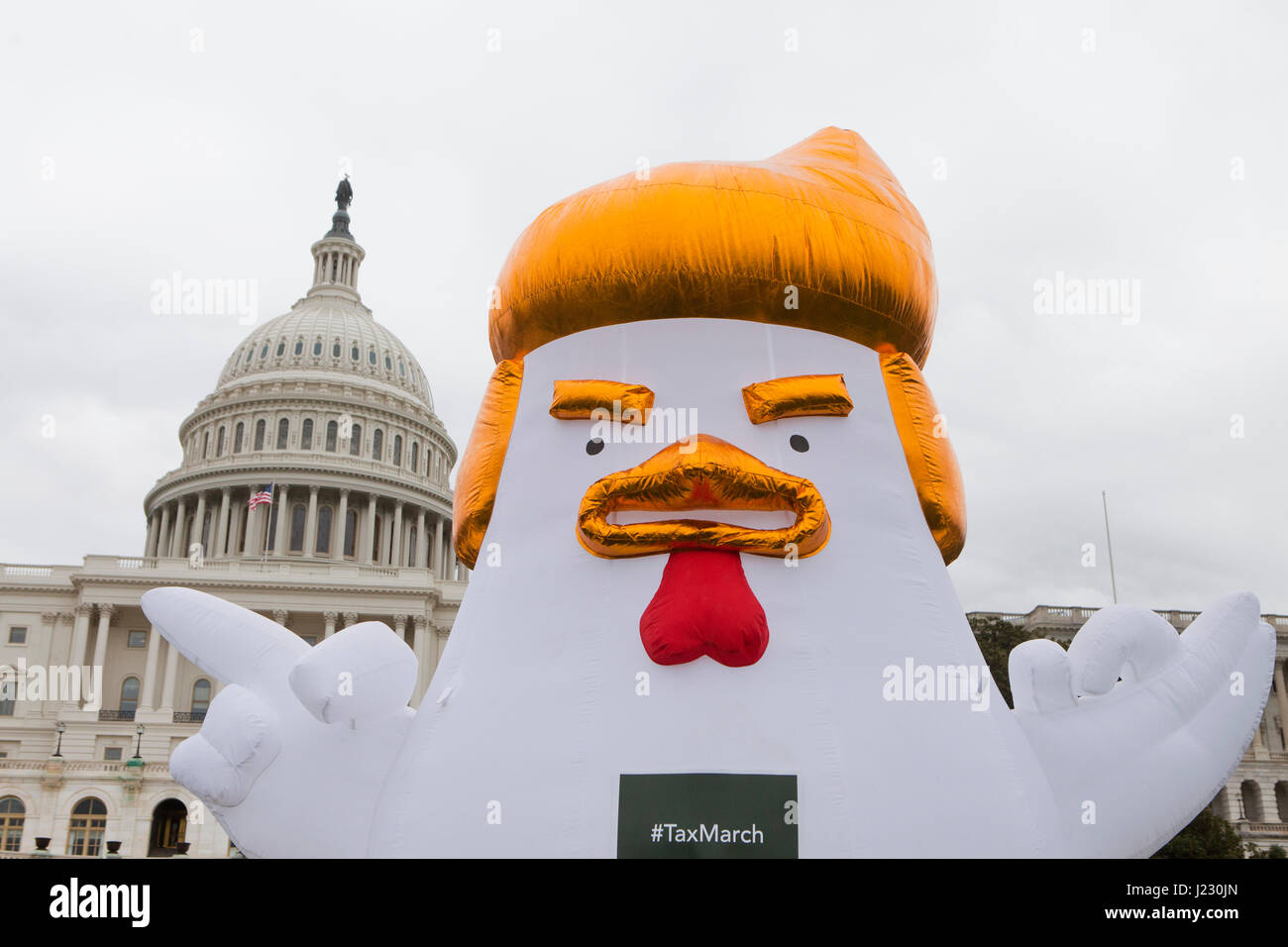 Trump Chicken - Washington, DC USA Stock Photo