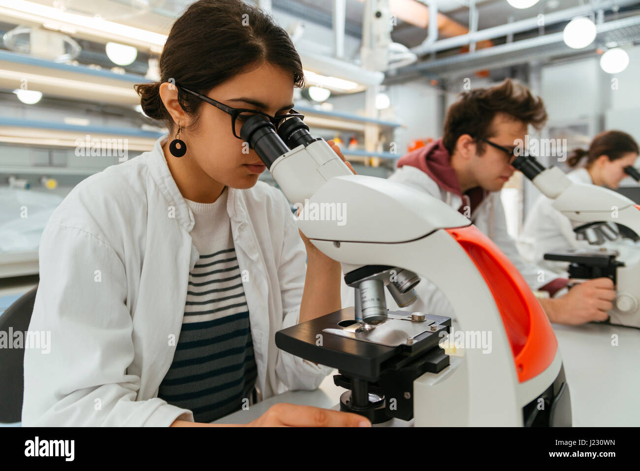Laboratory technicians using microscopes in lab Stock Photo Alamy