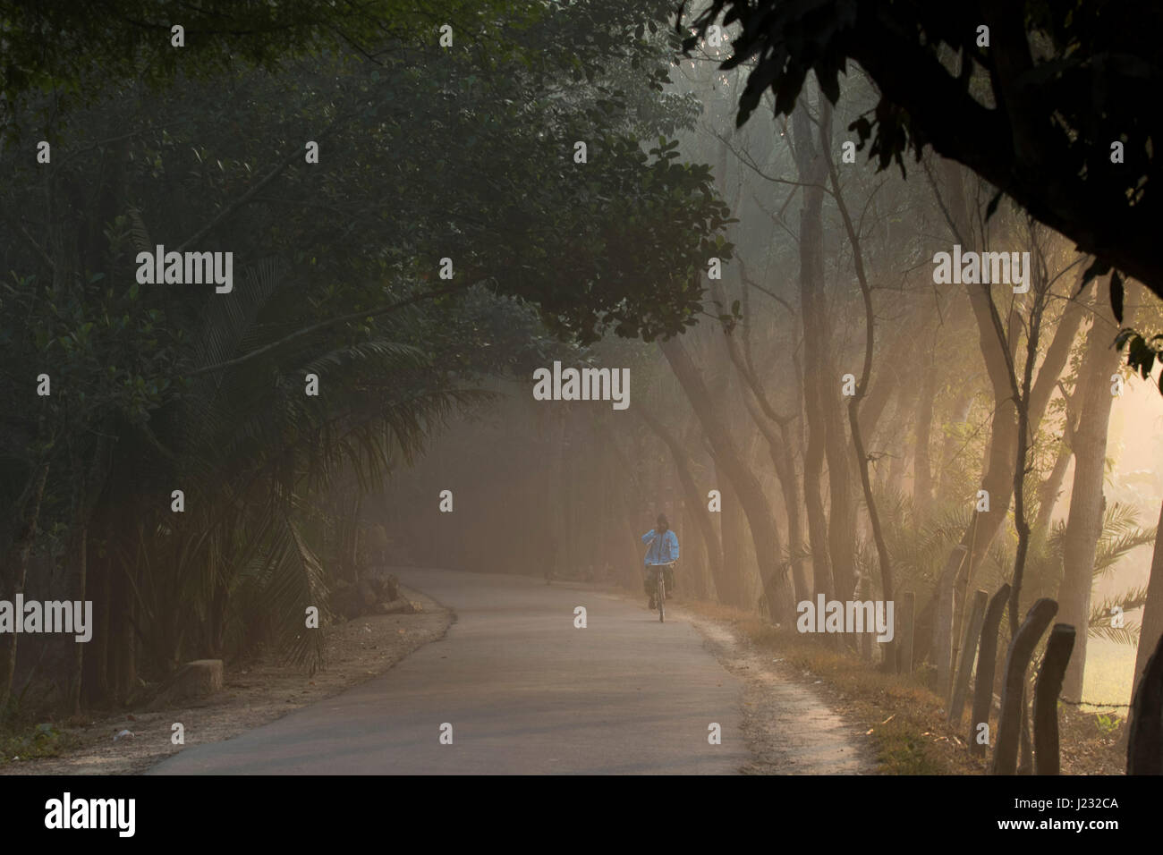 Sunrays shining on the rural path during winter morning in Jessore, Bangladesh. Stock Photo