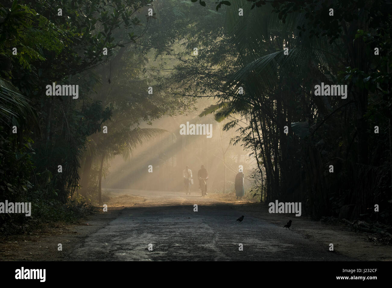 Winter morning in bangladesh hi-res stock photography and images - Alamy