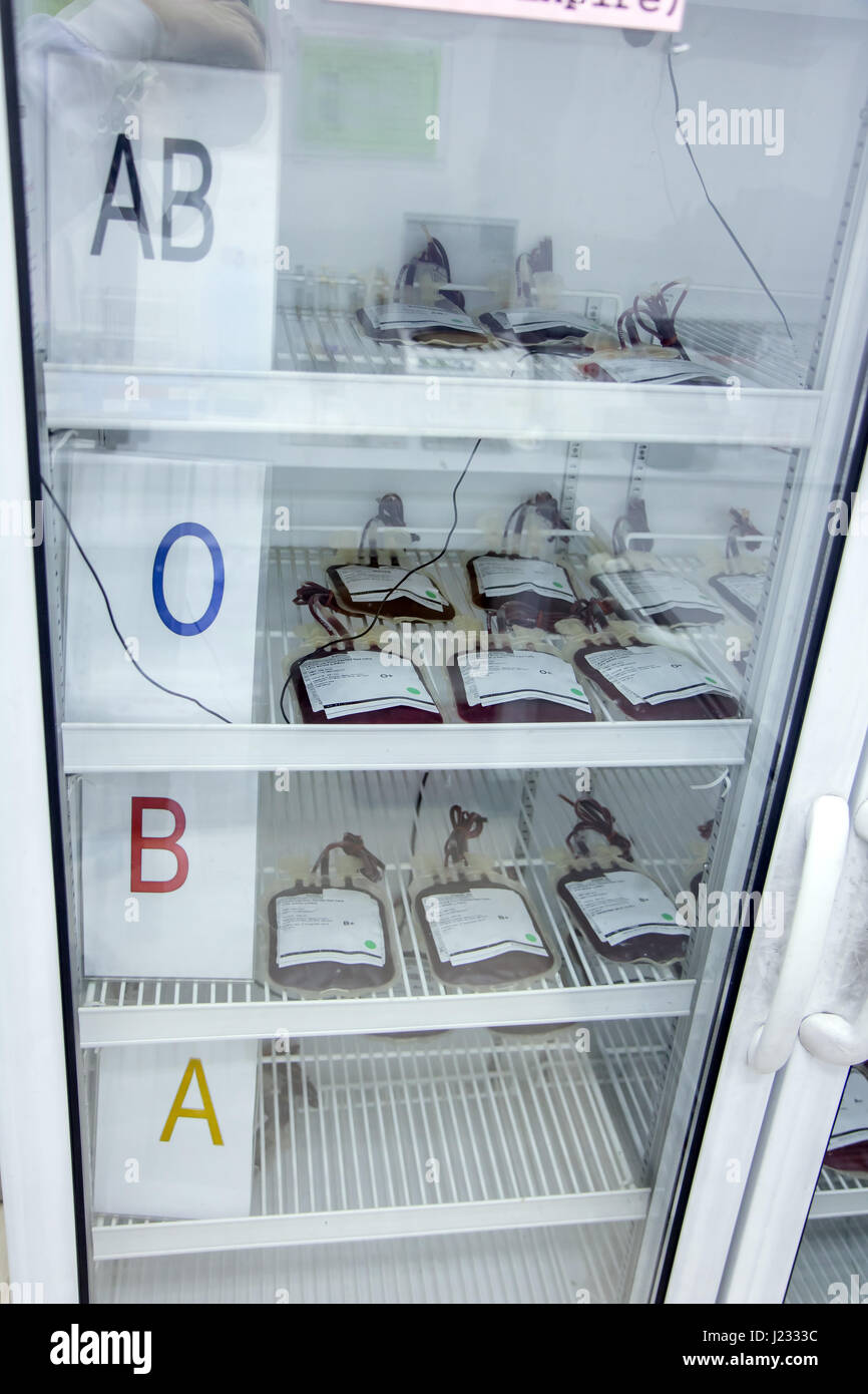 Different types of blood stored in a refrigeration cabinet. The plastic bags with blood stored in the deposit Hospital. Stock Photo