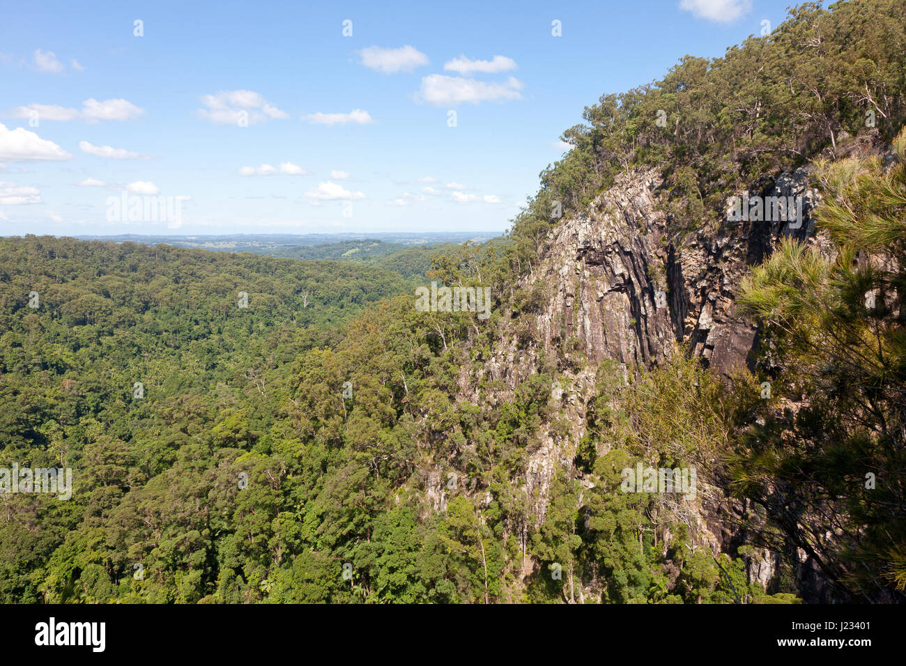 View from Minyon Falls, Nightcap Ranges National Park, NSW, Australia Stock Photo