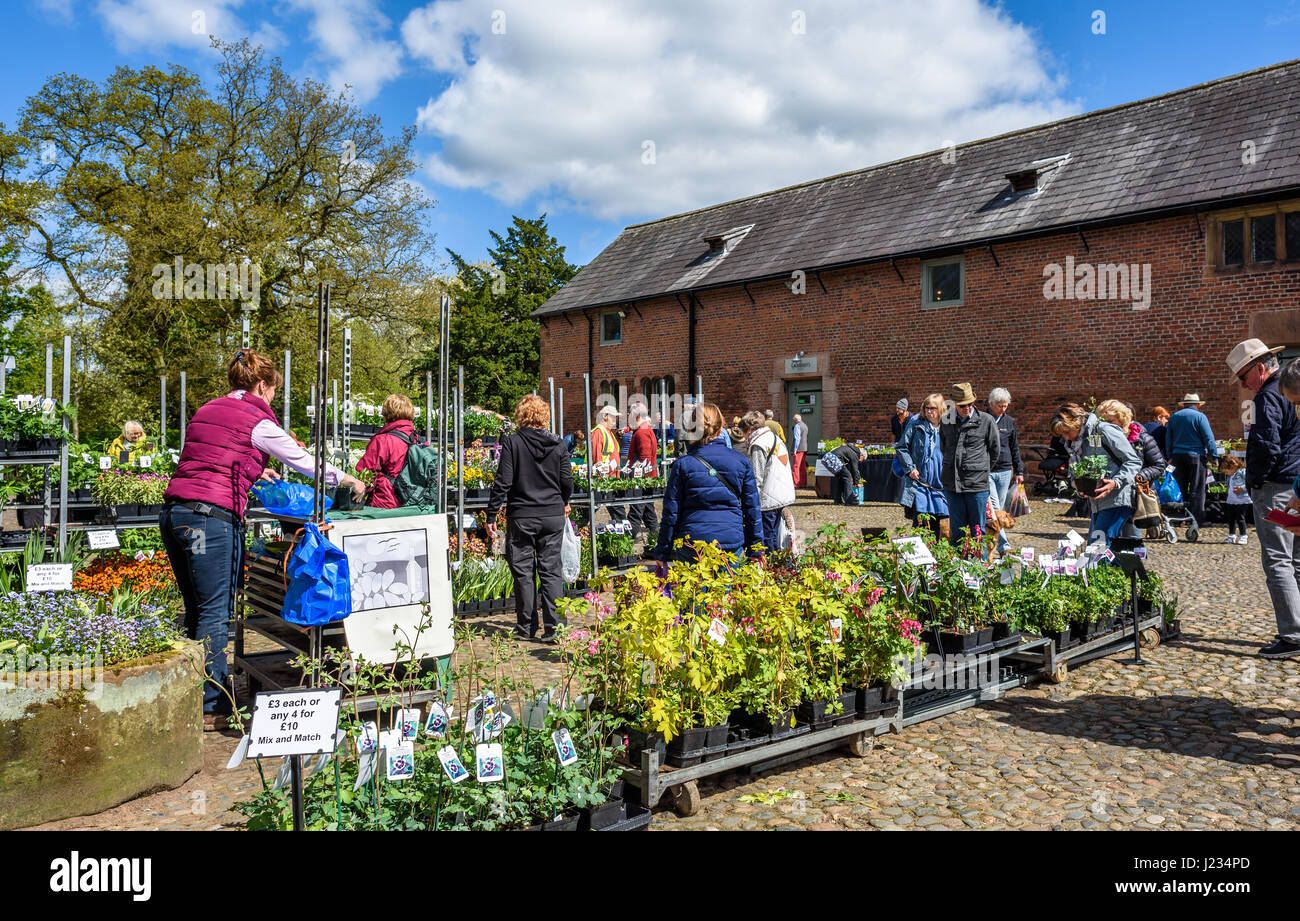 A Spring plant sale in the grounds of the Arley Hall estate, Cheshire. Stock Photo