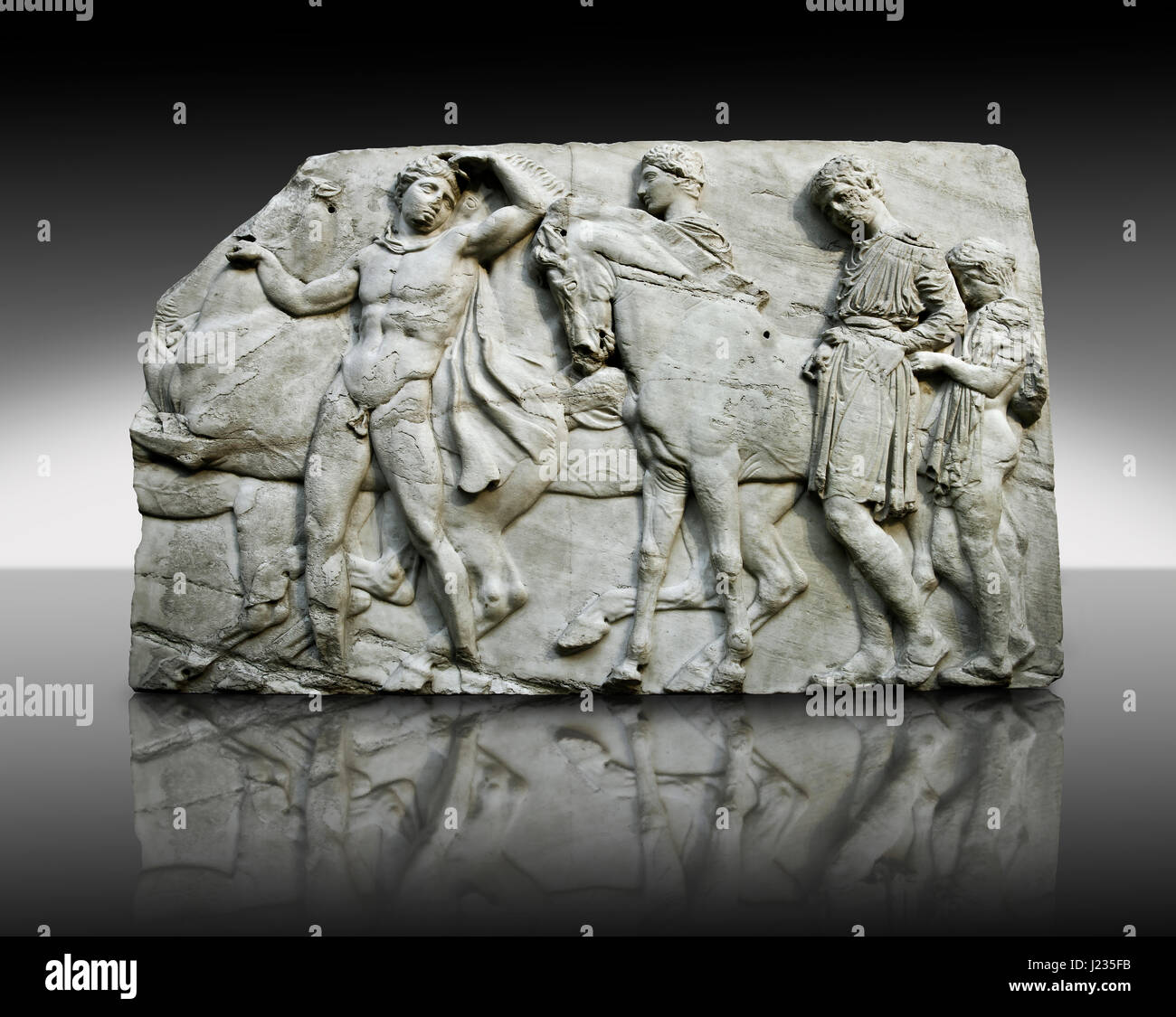 Marble Releif Sculptures from the Parthenon of the Acropolis Athens.  British Museum , London Stock Photo