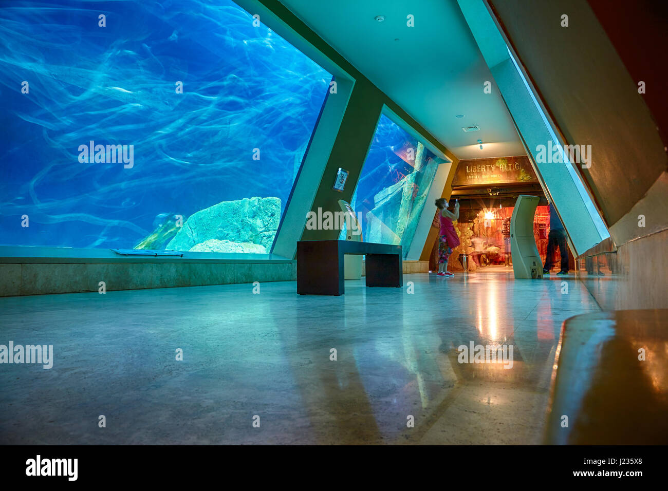 ISTANBUL, TURKEY – JULY 11, 2014:  The interior of Istanbul Sea Life Aquarium TurkuaZoo. The entrance to the hall of Liberty Ship wreck. Stock Photo