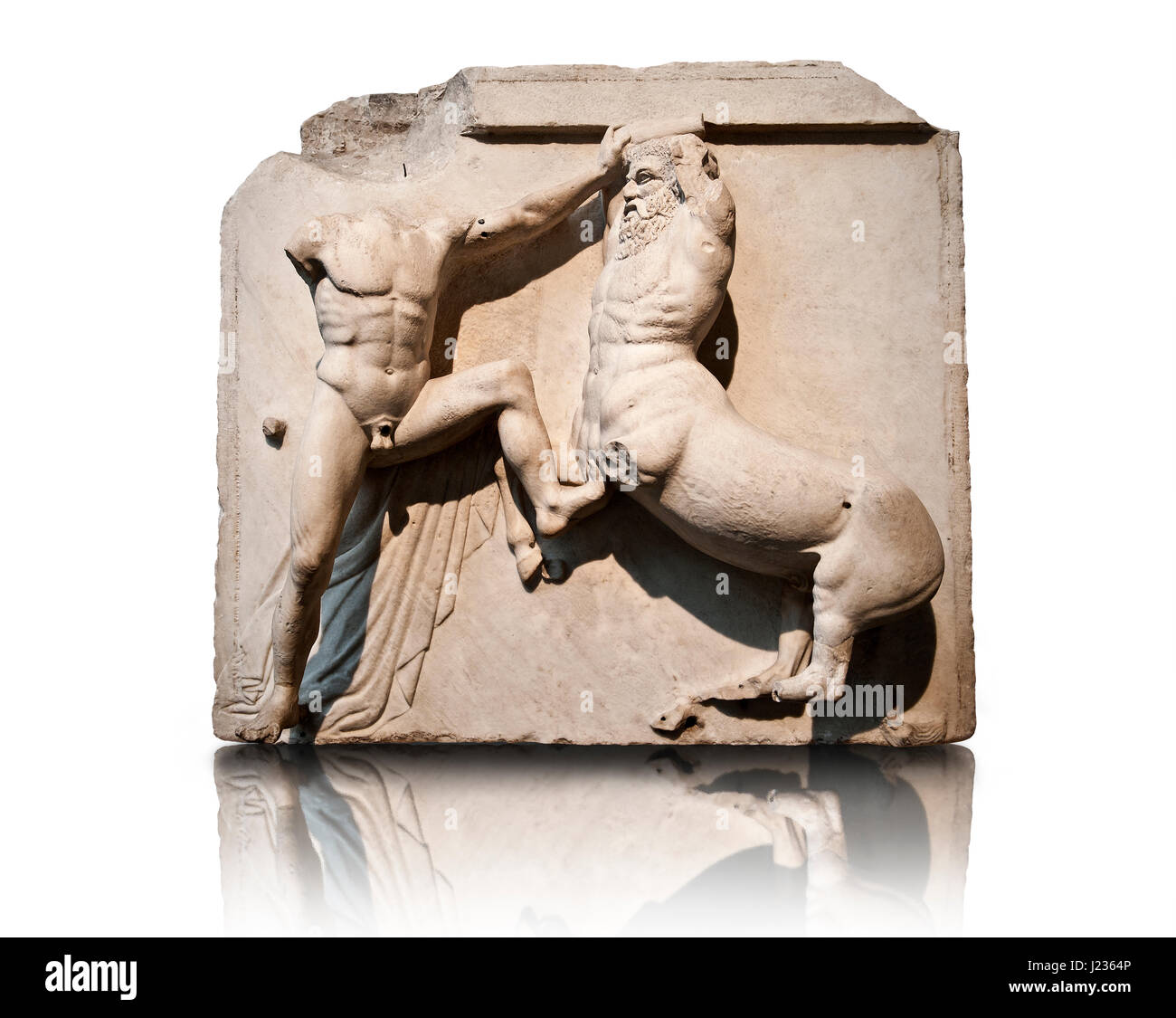 Sculpture of Lapiths and  Centaurs battling from the Metope of the Parthenon on the Acropolis of Athens. Also known as the Elgin marbles. British Muse Stock Photo