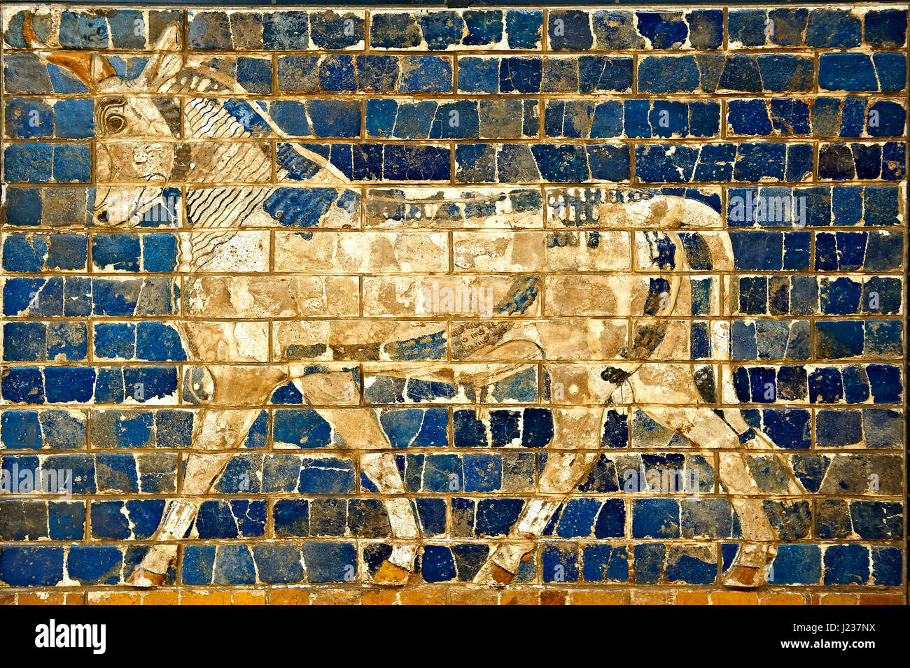 Aurochs relief pictures on glazed bricks from the Ishtar Gate, Babylon, Iraq constructed in about 575 BC,  Istanbul Archaeological Museum. Stock Photo