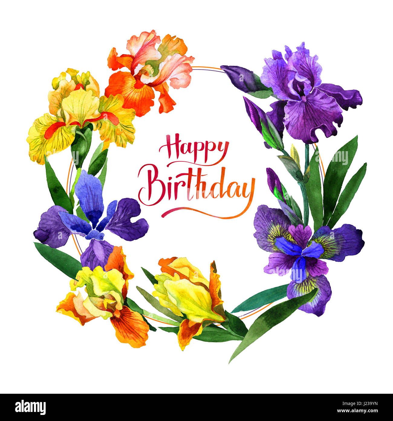 Wildflower Iris Flower Frame In A Watercolor Style Isolated Full Name Of The Plant Irises Aquarelle Wild Flower For Background Texture Wrapper Pa Stock Photo Alamy