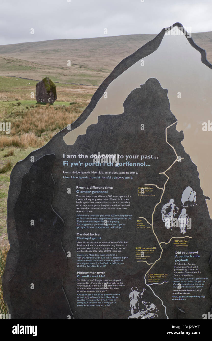 Prehistoric standing stone Maen Llia, with bilingual signs in English and Welsh at the Brecon Beacons National Park,Wales,UK Stock Photo
